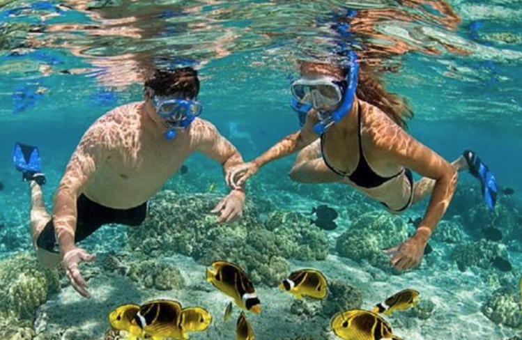 Best Beaches For Snorkeling In Puerto Rico Cayo Icacos