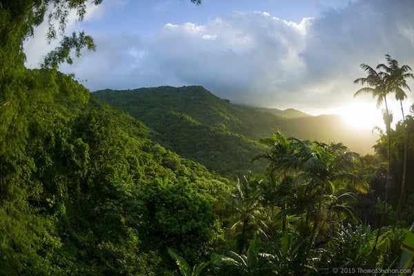 El Yunque Rainforest Luquillo Beach