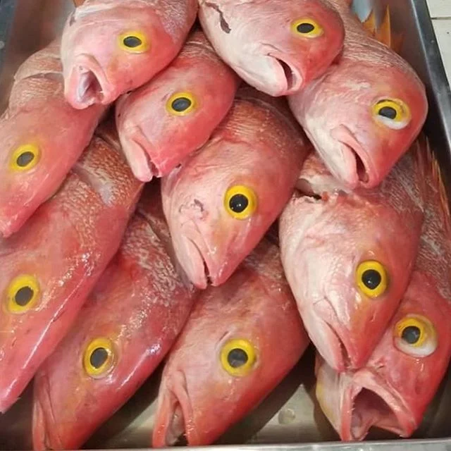 La Estacion Fajardo Puerto Rico Fish