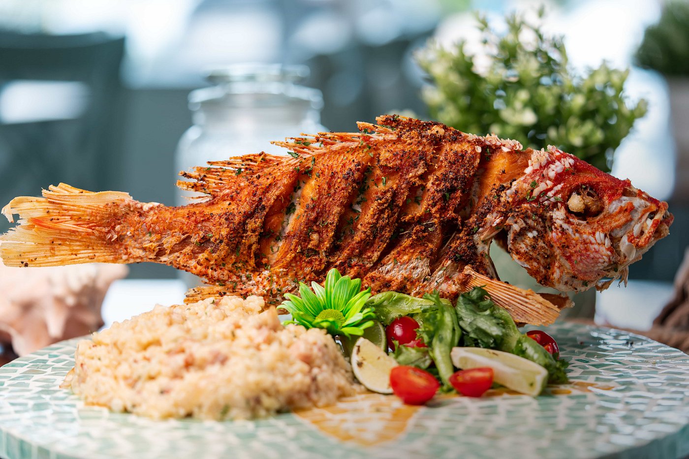 Pescaito Restaurant Fajardo Puerto Rico Cayo Icacos Pescaito Restaurant Bar Fried Red Snapper